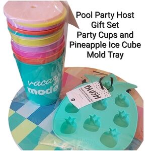 Party Cups Vacay Mode Set of 6 with Lids Straws Blush Pineapple Ice Cube Tray